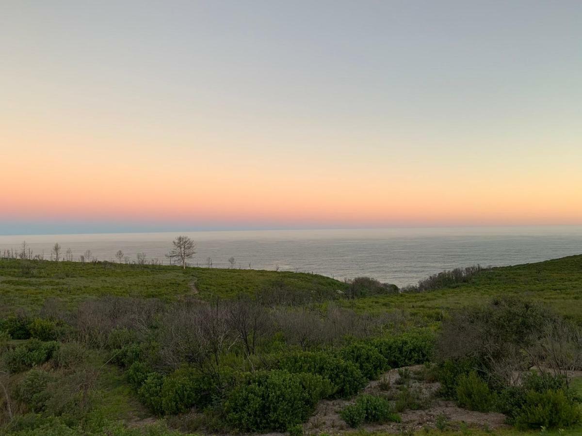 Trinity Farm Ocean View Cottage Plettenberg Bay Extérieur photo