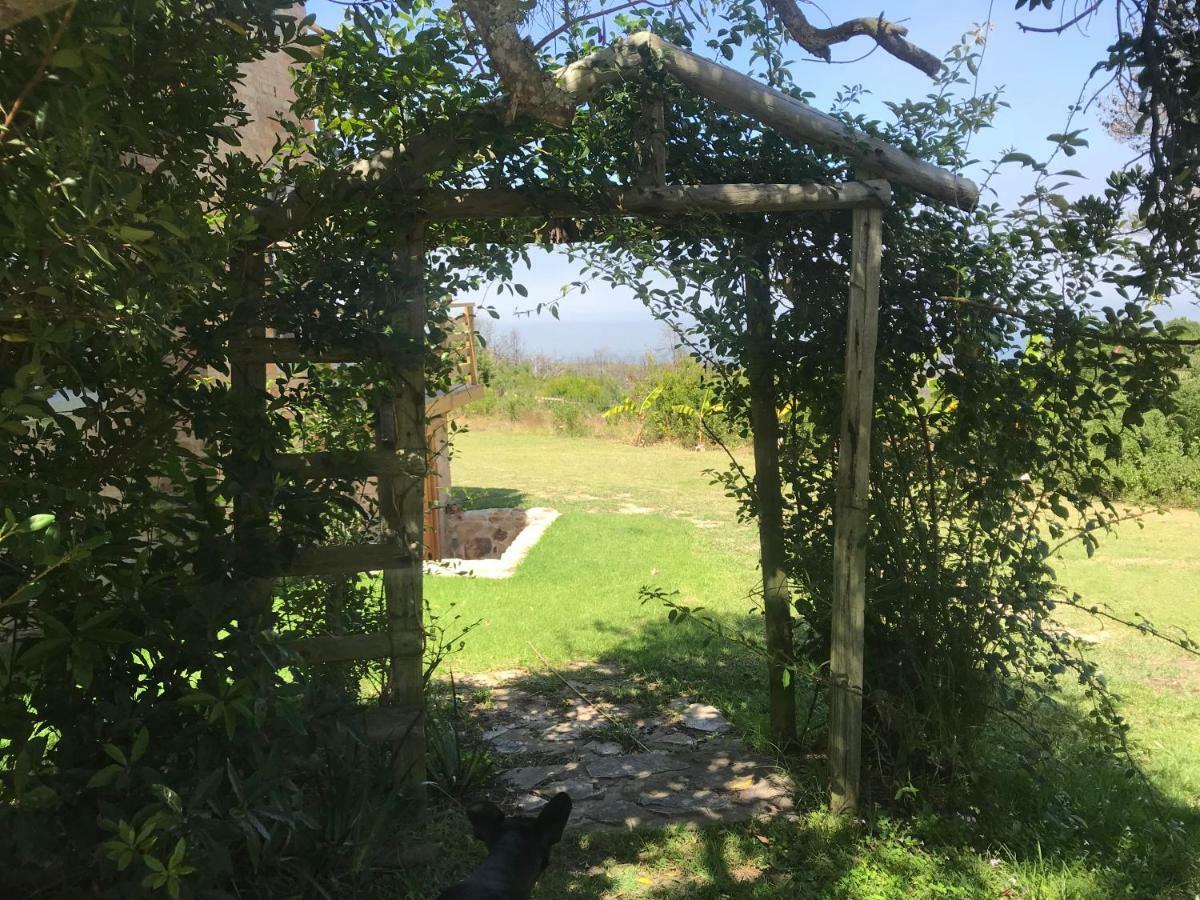 Trinity Farm Ocean View Cottage Plettenberg Bay Extérieur photo